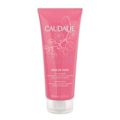 Dušo želė Caudalie Rose De Vigne, 200 ml kaina ir informacija | Dušo želė, aliejai | pigu.lt