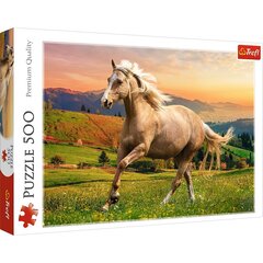 Пазл TREFL 500, Конь цена и информация | Пазлы | pigu.lt
