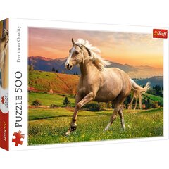 Delionė Trefl, 500 dalių kaina ir informacija | Dėlionės (puzzle) | pigu.lt