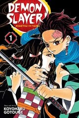 Комиксы Manga Demon slayer часть 1 цена и информация | Комиксы | pigu.lt