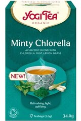 Пряный чай Yogi Tea Minty Chlorella, 17x2 г цена и информация | Чай | pigu.lt