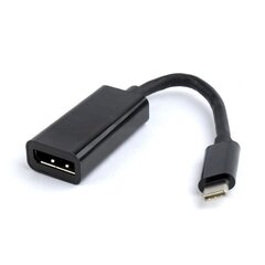 Конвертер видеосигнала Gembird USB-C в DisplayPort цена и информация | Аксессуары для видеокамер | pigu.lt