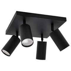 Черный настенный и потолочный светильник Strühm 160 x 75 x 75 мм цена и информация | Потолочные светильники | pigu.lt