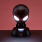 Spiderman 3D kaina ir informacija | Žaidėjų atributika | pigu.lt
