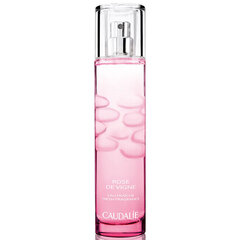 Женская парфюмерия Caudalie Rose de Vigne (50 мл) цена и информация | Женские духи | pigu.lt