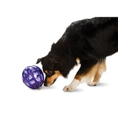 Žaislas skanėstams dėti PetSafe Busy Buddy Kibble Nibble kaina ir informacija | Žaislai šunims | pigu.lt