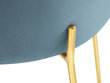 Kėdė Cosmopolitan Design Borneo 6, šviesiai mėlyna kaina ir informacija | Virtuvės ir valgomojo kėdės | pigu.lt