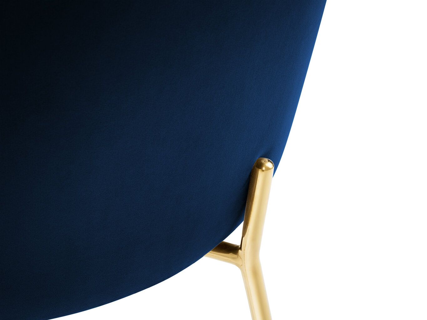 Kėdė Cosmopolitan Design Padova, mėlynos/auksinės spalvos kaina ir informacija | Virtuvės ir valgomojo kėdės | pigu.lt