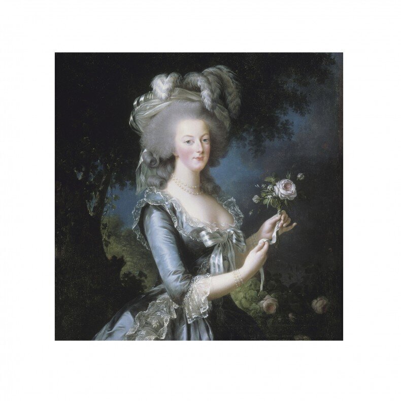 Aromatinis maišelis Le Blanc, Marie-Antoinette rožių aromatas 8g kaina ir informacija | Namų kvapai | pigu.lt