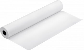 Ruloninis popierius Epson Proofing Paper Semimatte, 17inch x 30,5 m, 250g/m², baltas kaina ir informacija | Kanceliarinės prekės | pigu.lt