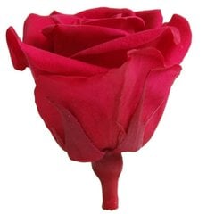 Стабилизированные мини розы 12 шт., темно-розовые цена и информация | Спящие стабилизированные розы, растения | pigu.lt
