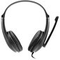 CANYON HSC-1 basic PC headset with microphone, combined 3.5mm plug, leather pads, Flat cable length 2.0m, 160*60*160mm, 0.13kg, Black kaina ir informacija | Ausinės | pigu.lt