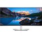 Dell UltraSharp U4021QW (210-AYJF), 40" kaina ir informacija | Monitoriai | pigu.lt