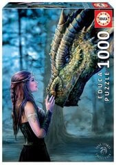 Головоломка Дракон с девушкой, 1000 шт цена и информация | Пазлы | pigu.lt