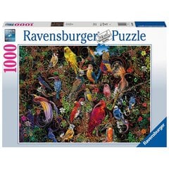 Dėlionė su paukščiais Ravensburgeris 16832, 1000 d. kaina ir informacija | Dėlionės (puzzle) | pigu.lt