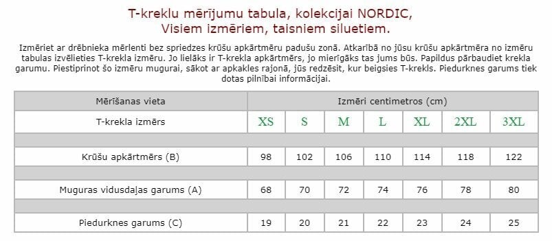 Marškinėliai vyrams Nordic, mėlyni kaina ir informacija | Vyriški marškinėliai | pigu.lt