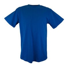 Marškinėliai vyrams Nordic, mėlyni kaina ir informacija | Vyriški marškinėliai | pigu.lt