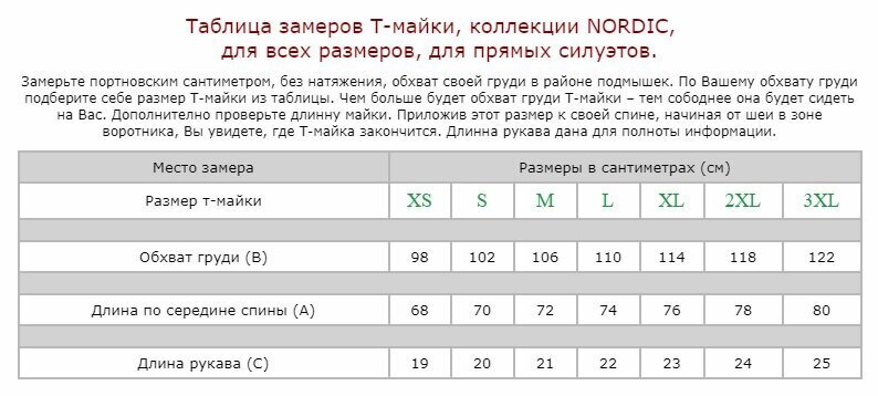 Marškinėliai vyrams Nordic, balti kaina ir informacija | Vyriški marškinėliai | pigu.lt