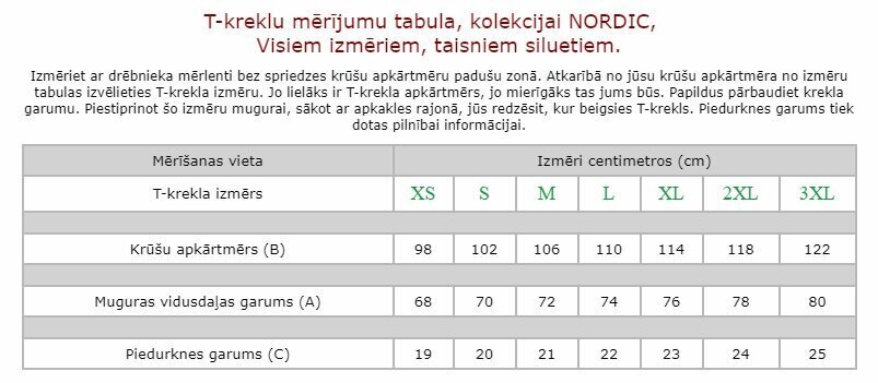 Marškinėliai vyrams Nordic, balti kaina ir informacija | Vyriški marškinėliai | pigu.lt