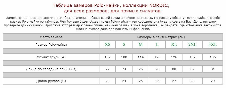 Polo marškinėliai vyrams Nordic, juodi kaina ir informacija | Vyriški marškinėliai | pigu.lt