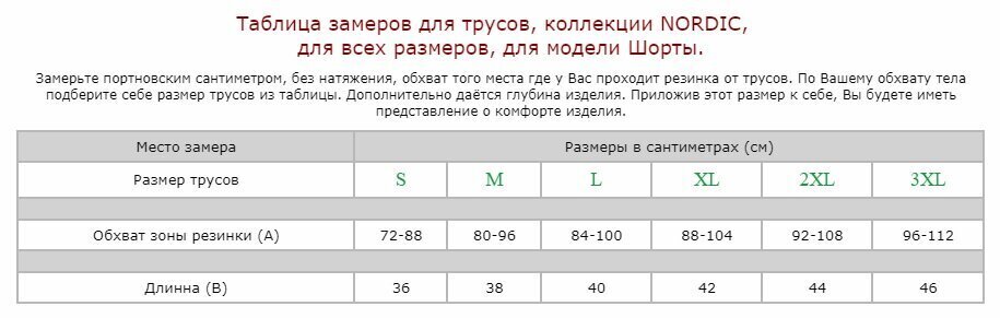 Trumpikės vyrams Nordic, pilkos цена и информация | Trumpikės | pigu.lt