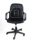 Kėdės atrama + Rankinis galvos masažuoklis kaina ir informacija | Kiti priedai baldams | pigu.lt