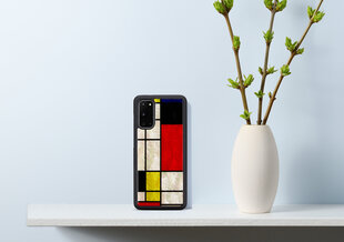 iKins  Samsung Galaxy S20 mondrian цена и информация | Чехлы для телефонов | pigu.lt