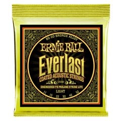 Stygos ak. gitarai Ernie Ball Everlast Light Bronze 0.011 - 0.052 kaina ir informacija | Priedai muzikos instrumentams | pigu.lt