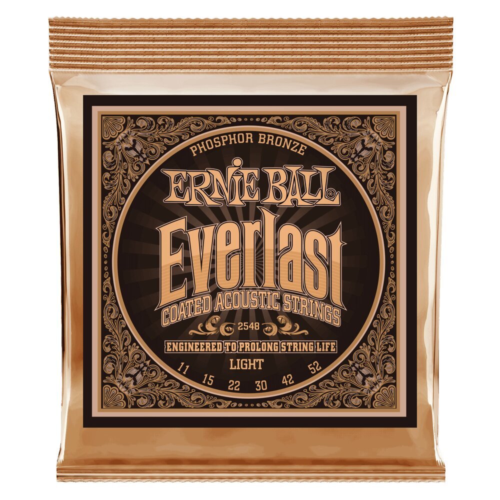 Stygos ak. gitarai Ernie Ball Everlast Light Phosphor Bronze 0.011 - 0.052 цена и информация | Priedai muzikos instrumentams | pigu.lt