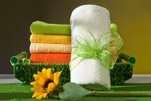 Обычное хлопковое полотенце, белое, 30x50 см. цена и информация | Полотенца | pigu.lt