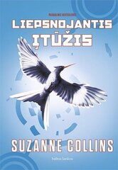 Bado žaidynės цена и информация | Книги для подростков и молодежи | pigu.lt