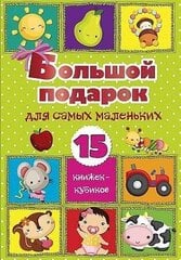 Большой подарок для самых маленьких. 15 книжек кубиков! kaina ir informacija | Knygos mažiesiems | pigu.lt