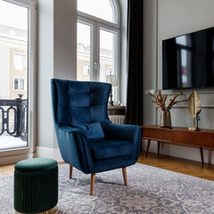 Кресло NORE Arti, синее цена и информация | Кресла в гостиную | pigu.lt