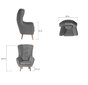 Fotelis NORE Arti, šviesiai pilkas kaina ir informacija | Svetainės foteliai | pigu.lt