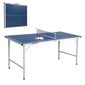 Mini stalo teniso stalas inSportline kaina ir informacija | Stalo teniso stalai ir uždangalai | pigu.lt