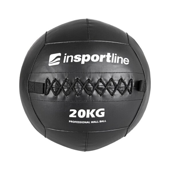 Kimštinis kamuolys inSPORTline Walbal SE 20kg kaina | pigu.lt