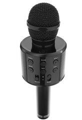 Караоке микрофон, беспроводной c Bluetooth и эффектами изменения голоса, черный цена и информация | Развивающие игрушки | pigu.lt