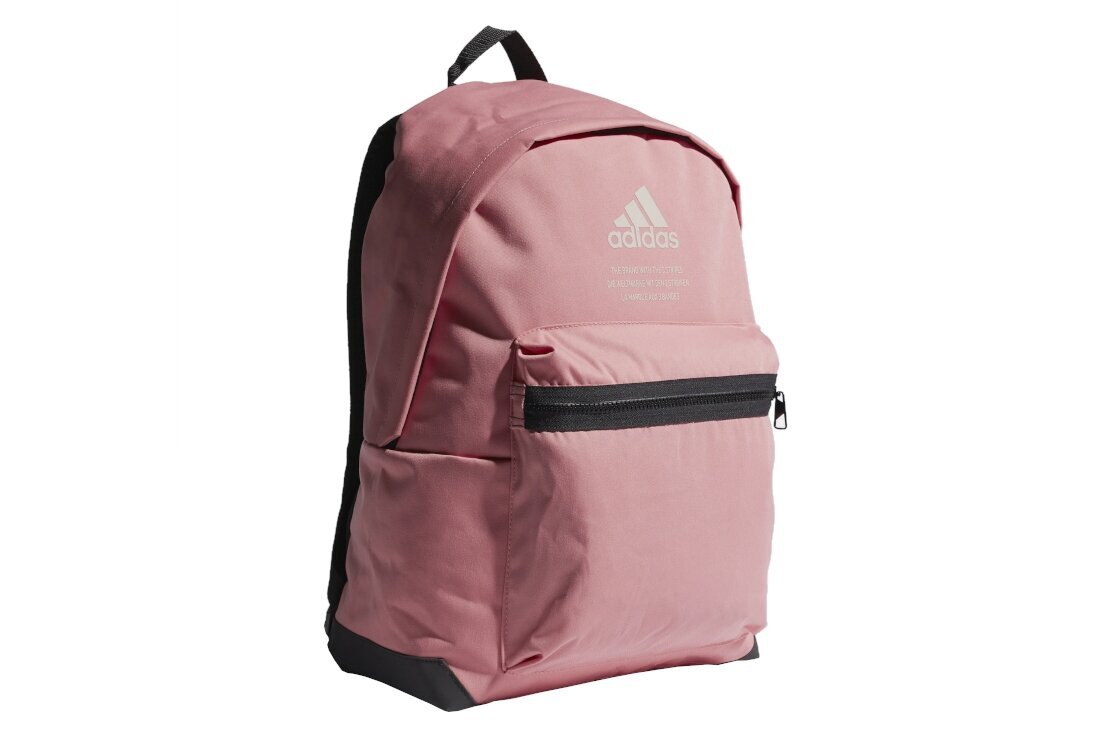 Kuprinė Adidas Classic Twill Fabric Backpack GL0892 kaina ir informacija | Kuprinės ir krepšiai | pigu.lt