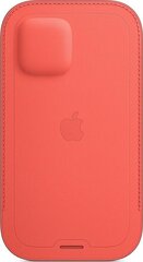 Чехол Apple для iPhone 12, красный цена и информация | Чехлы для телефонов | pigu.lt