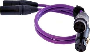 Kabel Melodika XLR x2 - XLR x2 0.75m fioletowy kaina ir informacija | Kabeliai ir laidai | pigu.lt