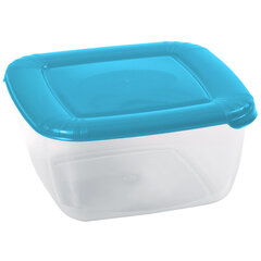 DOMOTTI контейнер для хранения пищевых продуктов Albert, 0,95 л цена и информация | Посуда для хранения еды | pigu.lt