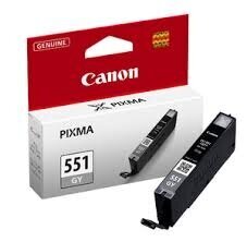 CANON CLI-551 GY Tinte grey цена и информация | Картриджи для струйных принтеров | pigu.lt