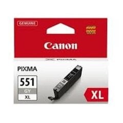 CANON CLI-551XL GY ink grey 11ml kaina ir informacija | Kasetės rašaliniams spausdintuvams | pigu.lt