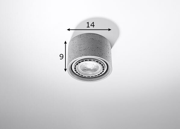 Sollux lubinis šviestuvas Basic 1 kaina ir informacija | Lubiniai šviestuvai | pigu.lt