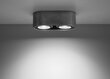 Sollux lubinis šviestuvas Basic, pilkas kaina ir informacija | Lubiniai šviestuvai | pigu.lt