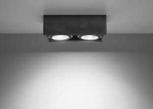 Потолочный светильник Sollux Quatro, светло-серый, 2 лампочки цена и информация | Потолочные светильники | pigu.lt