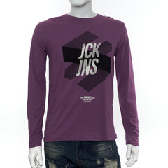 Футболка мужская с длинным рукавом Jack&Jones цена и информация | Jack&Jones Одежда, обувь и аксессуары | pigu.lt