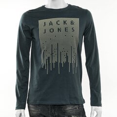 Футболка мужская с длинным рукавом Jack&Jones цена и информация | Футболка мужская | pigu.lt