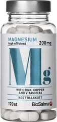 Maisto papildas Magnis su Cinku, Variu Ir Vitaminu B6 BioSalma, 120 tablečių kaina ir informacija | Vitaminai, maisto papildai, preparatai gerai savijautai | pigu.lt
