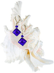 Lampglas Очаровательные серьги Gold Blue с чистым серебром и жемчугом Lampglas ERO5 цена и информация | Серьги | pigu.lt